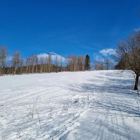 Apartman Utulno: Relax, Sauna A Vyberova Kava Horní Maršov المظهر الخارجي الصورة